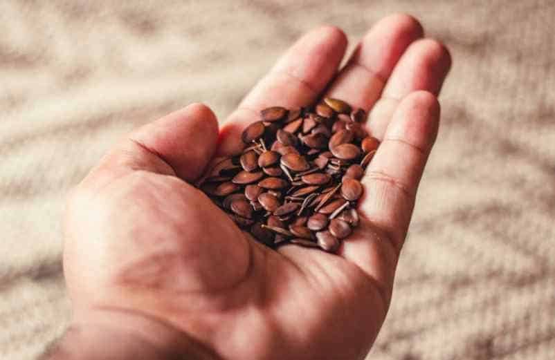 Pourquoi les graines de lin sont-elles efficaces contre la constipation ? Handissimo Pourquoi les graines de lin sont-elles efficaces contre la constipation ? Handissimo