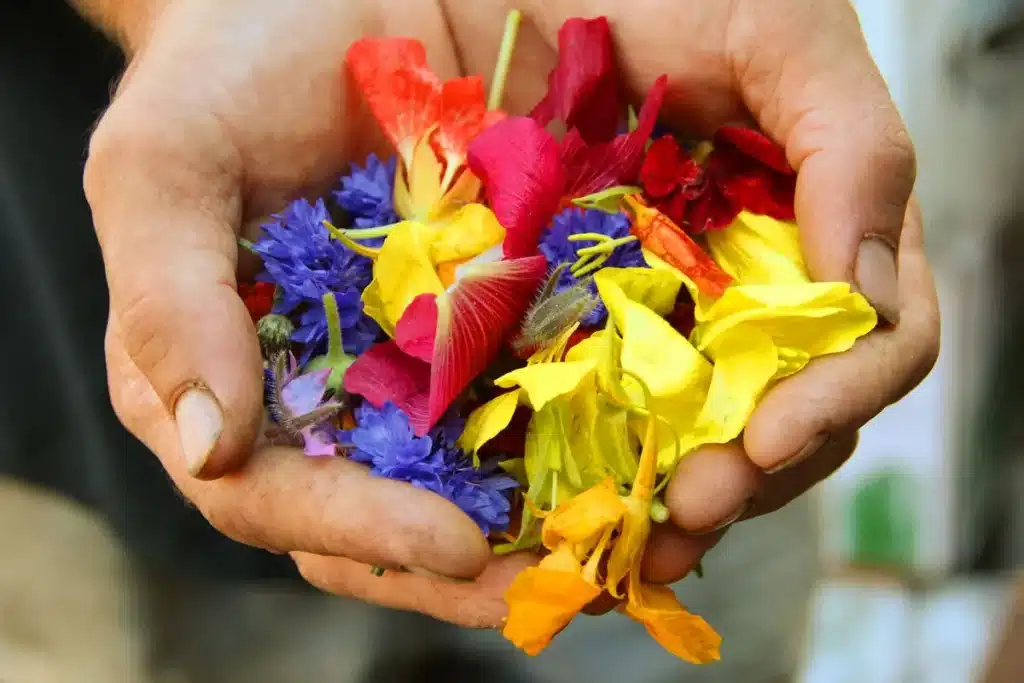 Main ouverte tenant des pétales de fleur délicats à la lumière douce