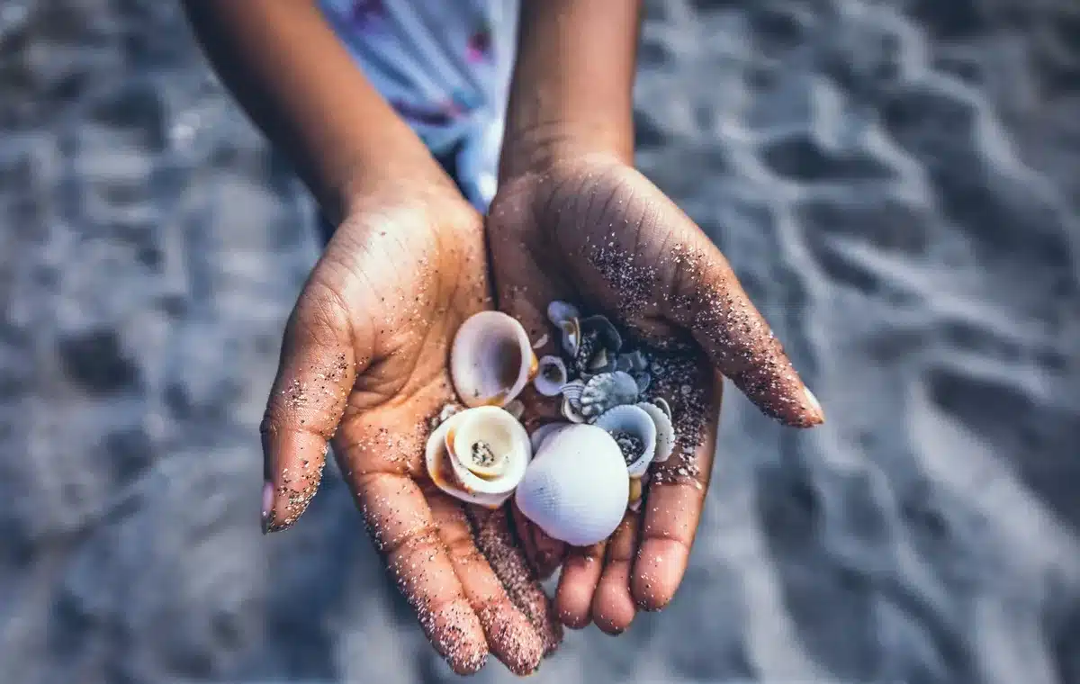 Un enfant explore des coquillages et du sable avec ses mains
