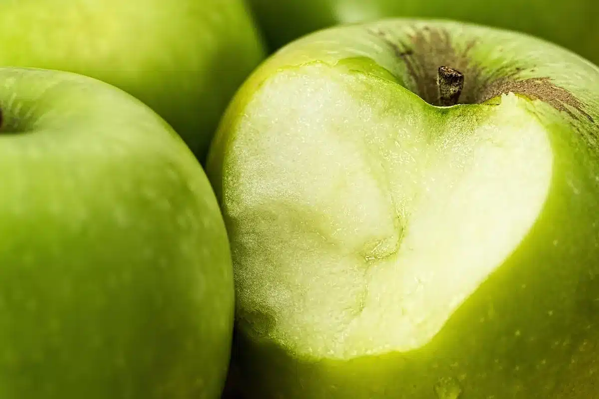 Gonflement et rougeur sur le bras après une piqûre d'insecte