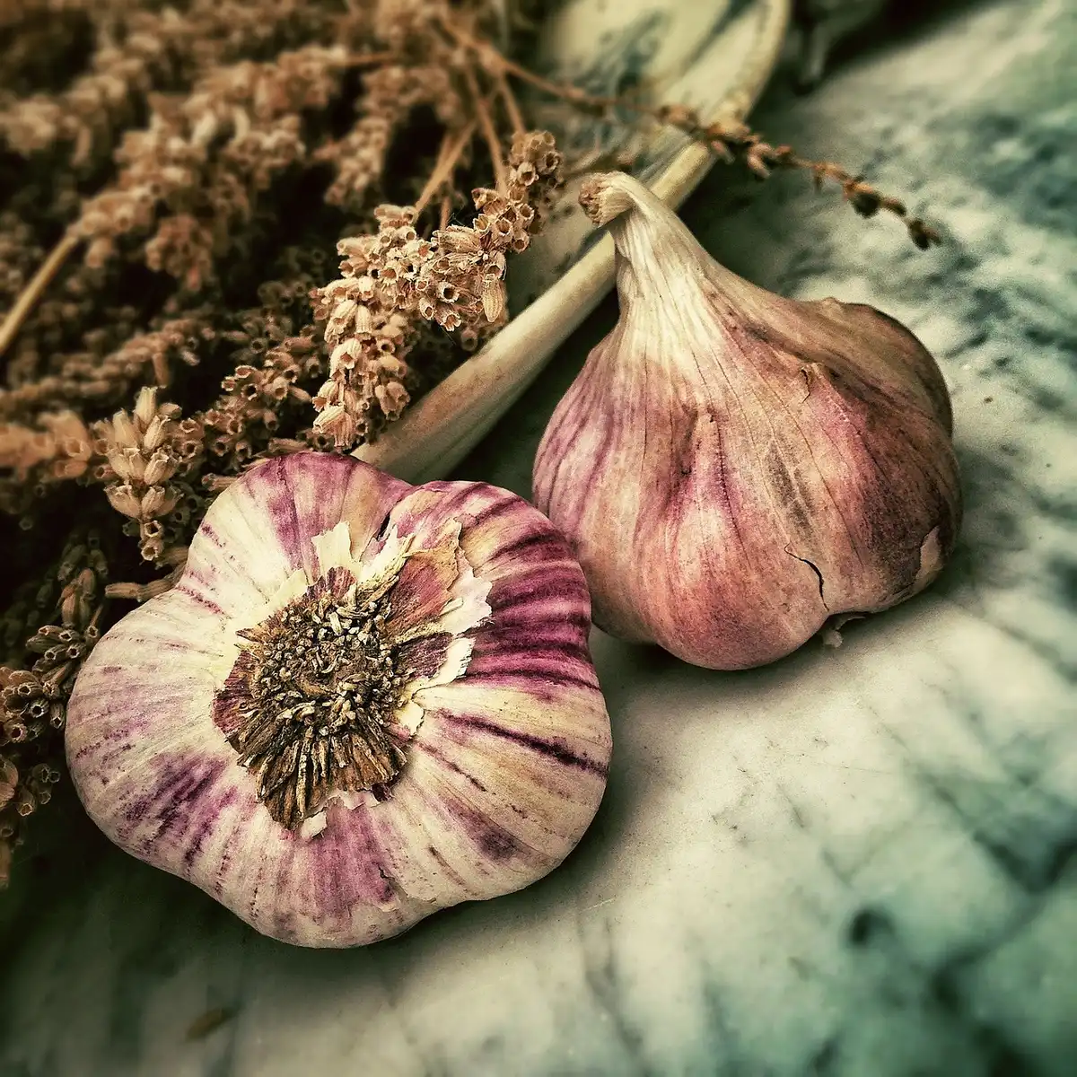 Enfant lave et prépare des légumes avec un adulte dans une cuisine ensoleillée