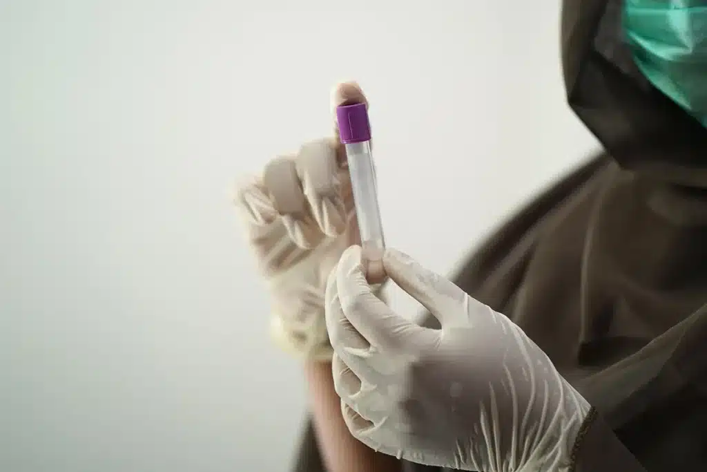 Plan rapproché d'un banc de laboratoire en plein jour avec un ovaire de souris disséqué et lames de verre